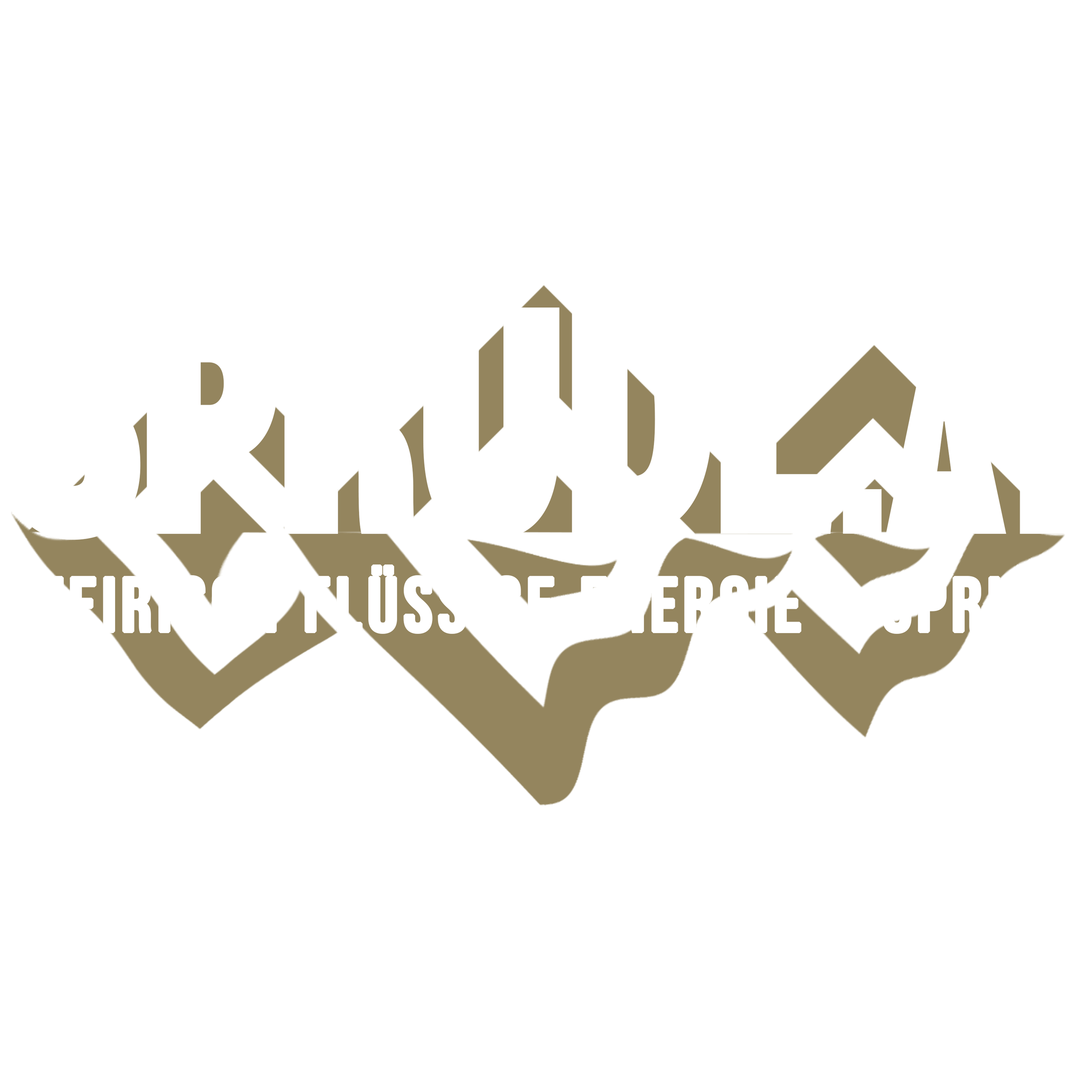 Sprudl Logo